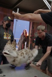 Exclusive Ahsoka 4K Clip Focuses on Natasha Liu Bordizzo’s Sabine & Her Loth-Cat